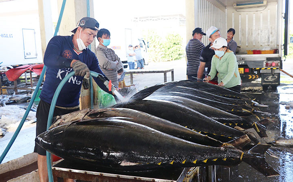 Việt Nam có nhiều cơ hội đẩy mạnh xuất khẩu cá ngừ sang Anh