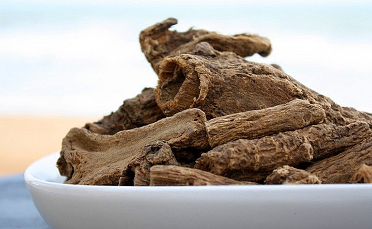 Rễ mộc hương là bộ phận được thu hái và sử dụng làm dược liệu