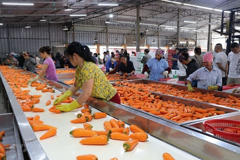 Hỗ trợ đầu tư cơ sở chế biến, bảo quản nông sản tới 15 tỷ đồng/dự án