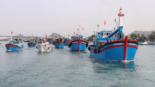 Xử lý dứt điểm vi phạm về khai thác hải sản bất hợp pháp