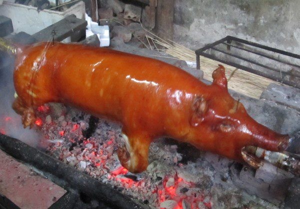 Lợn quay mắc mật Lạng Sơn - 