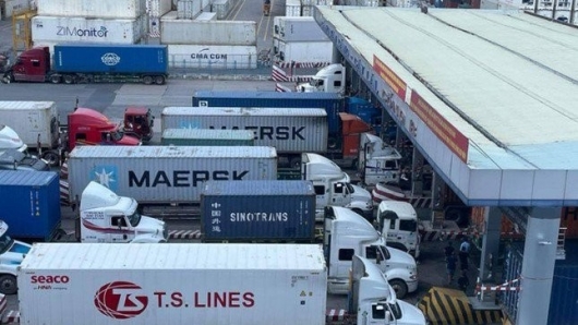 Hàng trăm container chuối, mít, sầu riêng bị dừng xuất khẩu: Bộ Nông nghiệp nói gì?