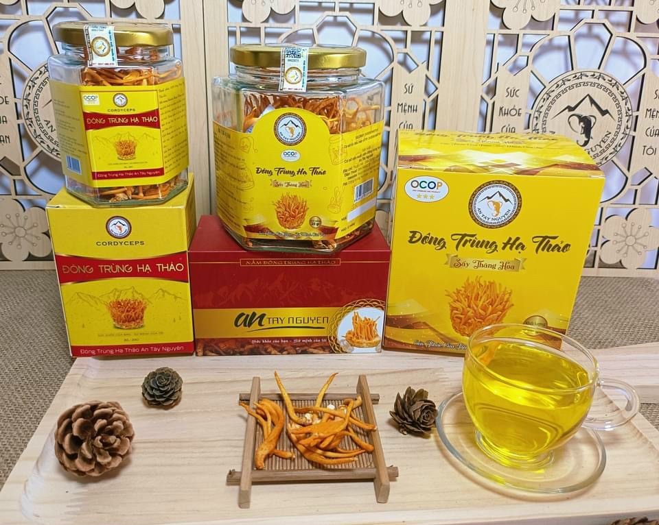 Nấm đông trùng hạ thảo An Tây Nguyên - chất lượng cao, nhiều dinh dưỡng Nấm đông trùng hạ thảo An Tây Nguyên - chất lượng cao, nhiều dinh dưỡng