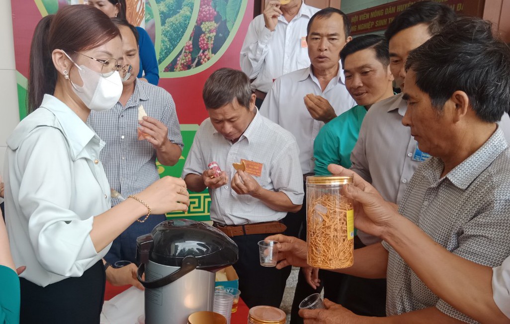 Nấm đông trùng hạ thảo An Tây Nguyên - chất lượng cao, nhiều dinh dưỡng Nấm đông trùng hạ thảo An Tây Nguyên - chất lượng cao, nhiều dinh dưỡng