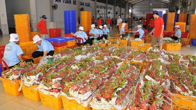 Trung Quốc chi 2,26 tỷ USD mua rau quả của Việt Nam
