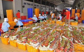 Trung Quốc chi 2,26 tỷ USD mua rau quả của Việt Nam