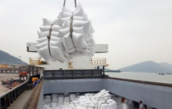 Philippines nhập khẩu gần 410 nghìn tấn gạo của Việt Nam trong tháng 8