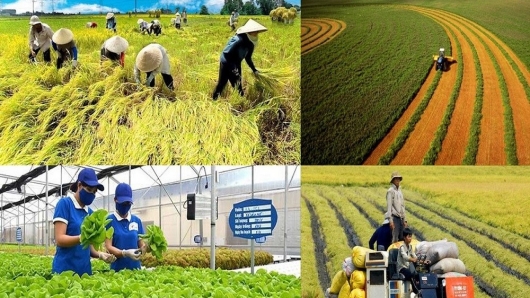 Chiến lược phát triển ngành nghề nông thôn đến năm 2030, tầm nhìn đến năm 2045