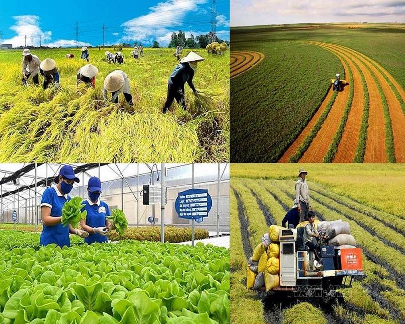 Phát triển ngành nghề nông thôn hiệu quả, bền vững, tích hợp đa giá trị; bảo đảm tăng trưởng xanh.