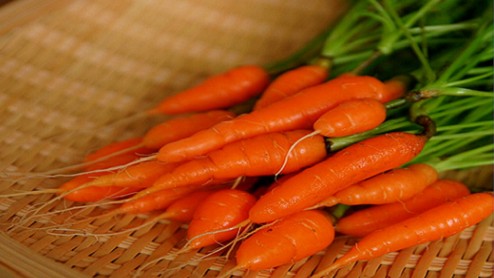 Cà rốt tí hon đắt gấp 3 lần loại thường tưởng khó trồng nhưng thực ra rất dễ