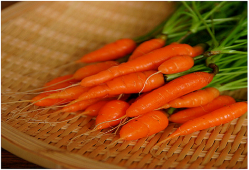 Cà rốt baby có giá bán cao gấp 2-3 lần loại thường 