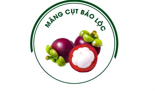 Măng cụt Bảo Lộc được cấp chứng nhận đăng ký nhãn hiệu