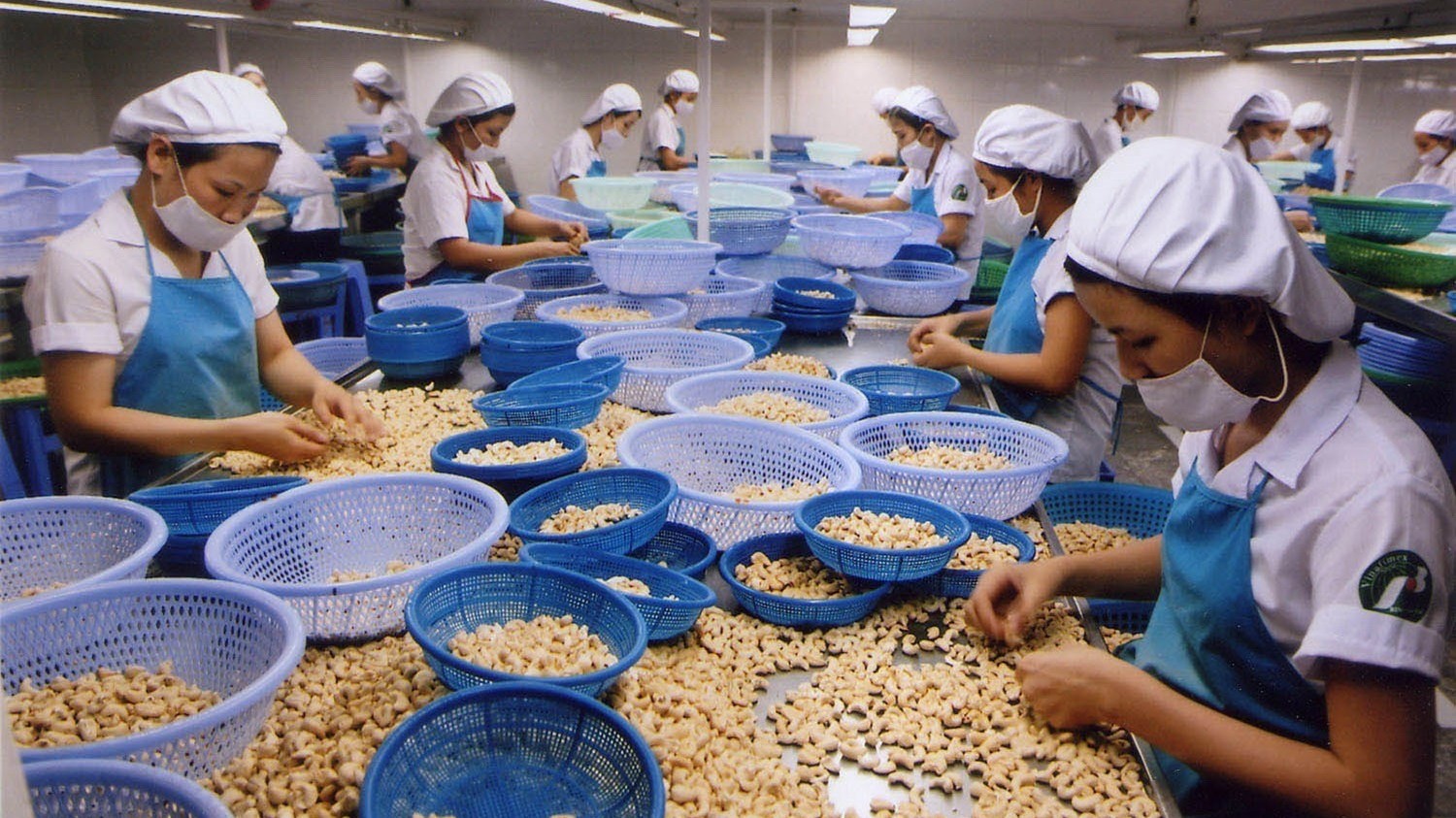 Xuất khẩu hạt điều tiếp tục lập kỷ lục mới