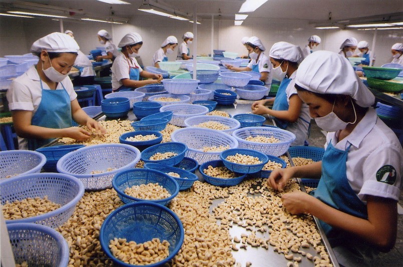 Tháng 8/2023, xuất khẩu hạt điều của Việt Nam tiếp tục ghi nhận mức cao kỷ lục mới 
