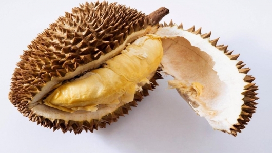 Bộ phận của quả sầu riêng thường bị vứt bỏ lại là vị thuốc chữa đầy bụng, khó tiêu