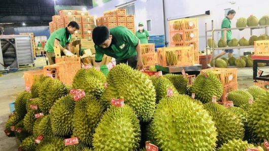 Xuất khẩu rau quả sang thị trường Trung Quốc tăng trưởng 3 con số