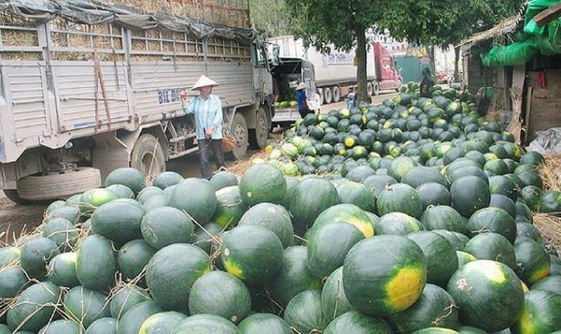 Xuất khẩu rau quả sang thị trường Trung Quốc tăng trưởng 3 con số
