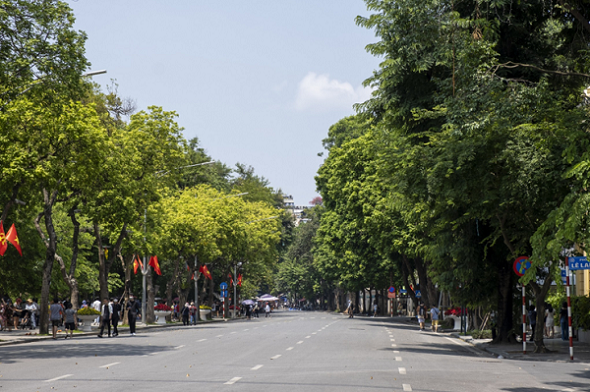 Những con phố lãng mạng nhất Hà Nội khi vào thu