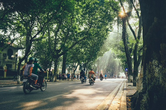 Những con phố lãng mạng nhất Hà Nội khi vào thu