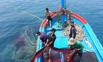 Gỡ “thẻ vàng” IUU giúp phát triển ngành thủy sản bền vững