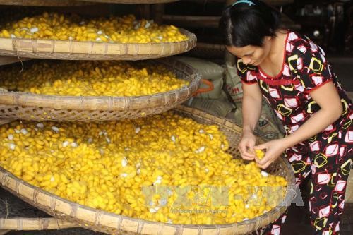 Thanh Hoá nâng cao chất lượng sản phẩm, phát triển bền vững các làng nghề