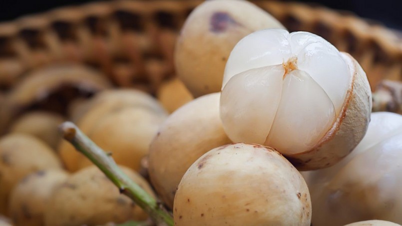 Văn phòng SPS Việt Nam thông tin về 10kg quả bòn bon bị cảnh báo tại Iceland