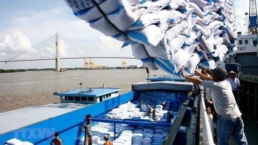 Philippines tuyên bố không giảm thuế nhập khẩu gạo, giá gạo xuất khẩu Việt Nam bật tăng