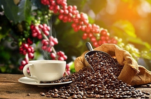 Giá nông sản hôm nay 4/10: Cà phê chao đảo giảm 1.000 đồng/kg, hồ tiêu nằm im ở mức 72.000 đồng/kg