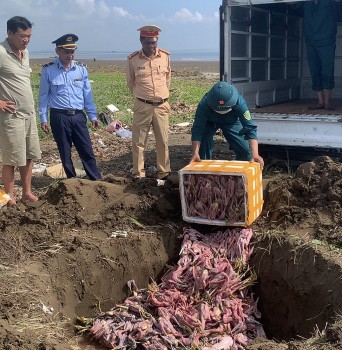 Nghệ An: Phát hiện phương tiện vận chuyển 150kg thịt chim bốc mùi hôi thối