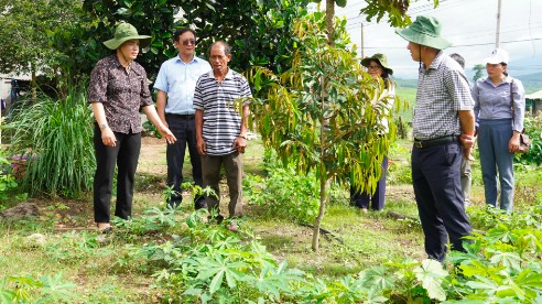 Huyện Sa Thầy (Kon Tum): Người dân làm giàu bền vững dựa trên tiềm năng nông nghiệp