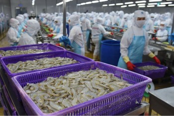 Việt Nam xuất khẩu hơn 85.000 tấn thủy sản tươi sống sang Trung Quốc trong 8 tháng