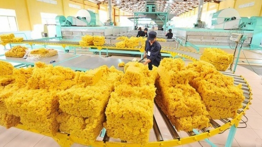 Loại cây của Việt Nam đứng thứ ba thế giới về sản lượng, đem xuất khẩu thu 1,3 triệu USD