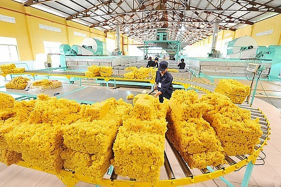 Việt Nam là thị trường cung cấp cao su lớn thứ 2 cho Trung Quốc