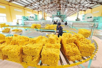 Loại cây của Việt Nam đứng thứ ba thế giới về sản lượng, đem xuất khẩu thu 1,3 triệu USD