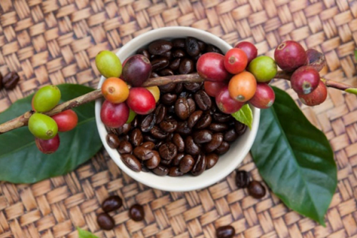 Giá nông sản hôm nay 11/10: Cà phê quay đầu tăng 100 đồng/kg, hồ tiêu không có biến động mới
