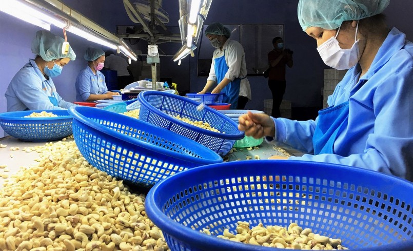 Việt Nam xuất khẩu 1,25 triệu tấn nhân điều