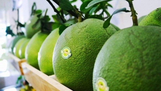 New Zealand dự kiến nới lỏng biện pháp giám sát kiểm dịch thực vật đối với một số trái cây Việt