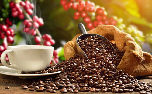 Xuất khẩu cà phê trong tháng 9 giảm xuống mức thấp nhất