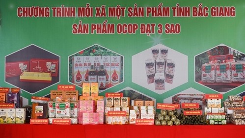 Tạo sức bật mới cho sản phẩm OCOP Bắc Giang
