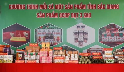 Khẳng định chất lượng sản phẩm OCOP Bắc Giang