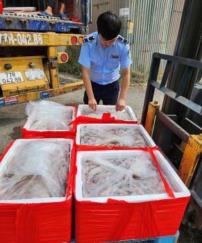 Thanh Hóa: Ngăn chặn phương tiện vận chuyển 4,5 tấn cá khoai chứa chất foocmon