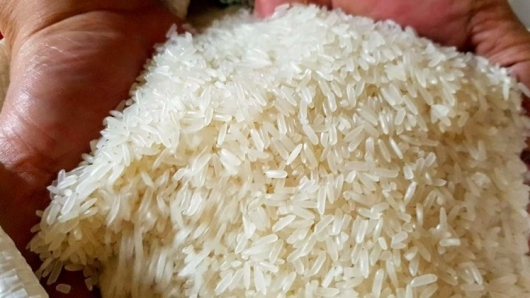 Bộ Công Thương lấy ý kiến về việc nhập khẩu gạo, lá thuốc lá sấy khô từ Campuchia năm 2023, 2024