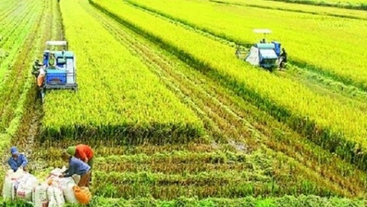 10 tháng đầu năm 2023, nông nghiệp Thanh Hoá có nhiều chuyển biến tích cực