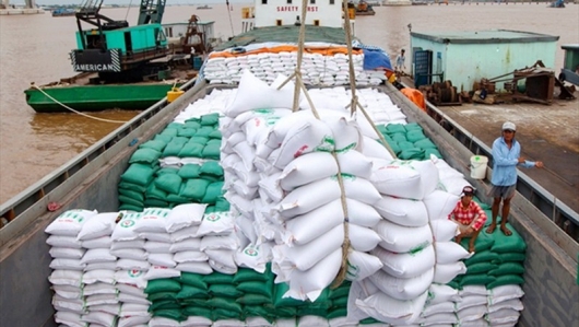 Kim ngạch xuất khẩu gạo Việt Nam lập đỉnh mới sau 34 năm