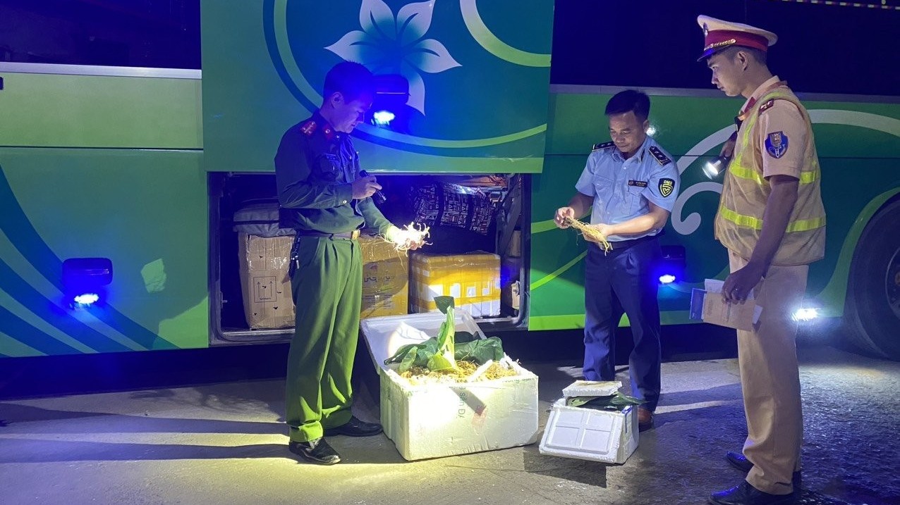 Lai Châu phát hiện phương tiện vận chuyển sâm củ không rõ nguồn gốc, xuất xứ