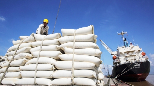 Ấn Độ duy trì lệnh cấm xuất khẩu gạo: Cơ hội cho gạo Việt tăng tốc