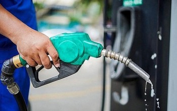Ngày mai (1/11), giá xăng được dự báo tăng, giá dầu giảm nhẹ