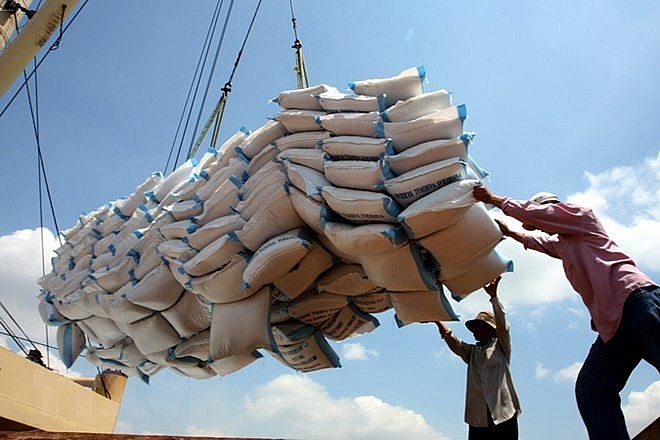 Giá gạo xuất khẩu Việt Nam lên mức cao nhất trong vòng hơn 10 năm trở lại đây.