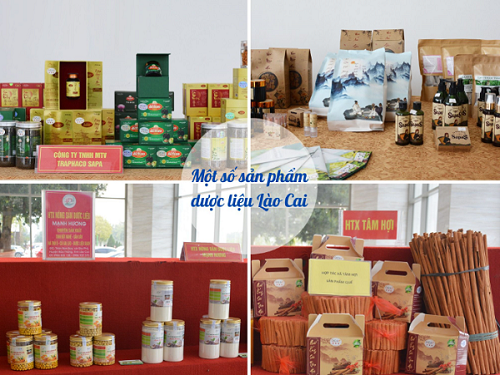 Một số sản phẩm dược liệu Lào Cai.