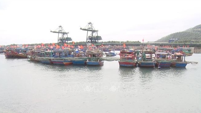 Bác bỏ thông tin cưỡng chế, đàn áp người dân phản đối xây dựng Cảng Long Sơn